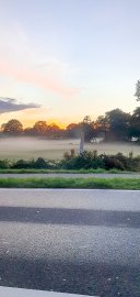 So schön ist der Herbst in Ostfriesland - Bild 27