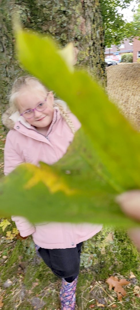 So schön ist der Herbst in Ostfriesland - Bild 30