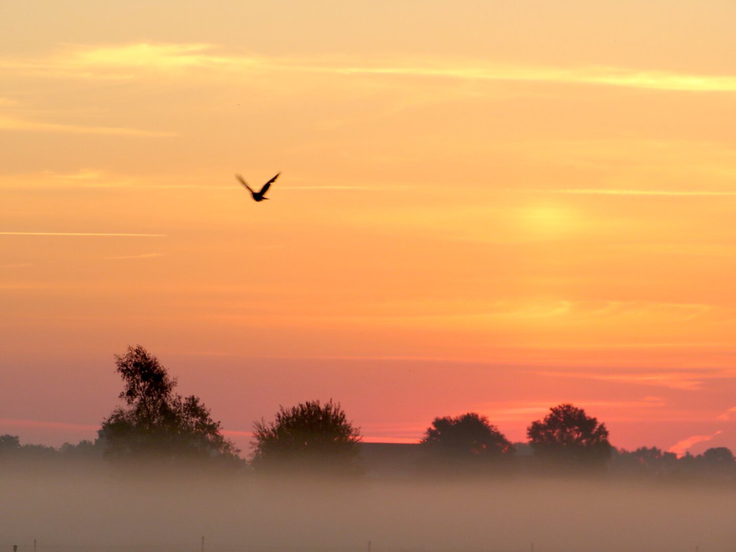 So schön ist der Herbst in Ostfriesland - Bild 57