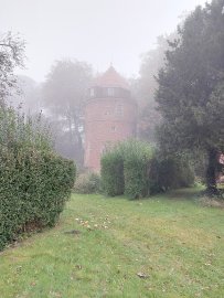 So schön ist der Herbst in Ostfriesland - Bild 63