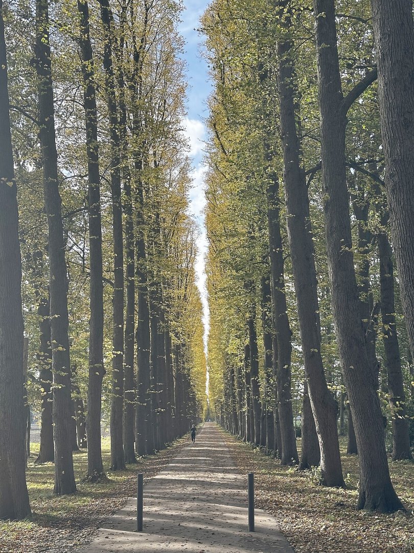 So schön ist der Herbst in Ostfriesland - Bild 69