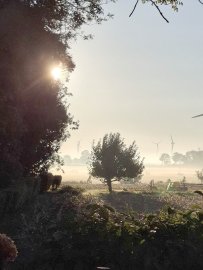 So schön ist der Herbst in Ostfriesland - Bild 73