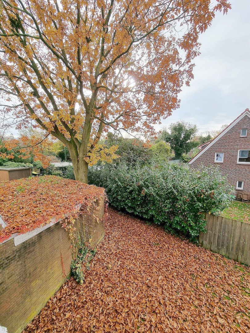 So schön ist der Herbst in Ostfriesland - Bild 86