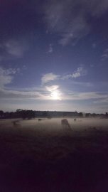 So schön ist der Herbst in Ostfriesland - Bild 95