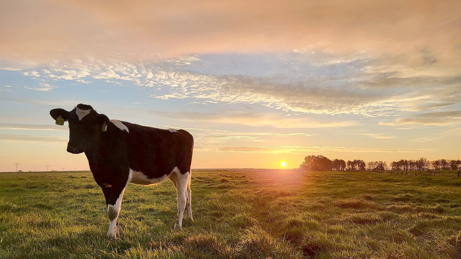 So schön ist der Herbst in Ostfriesland - Bild 103