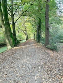 So schön ist der Herbst in Ostfriesland - Bild 15