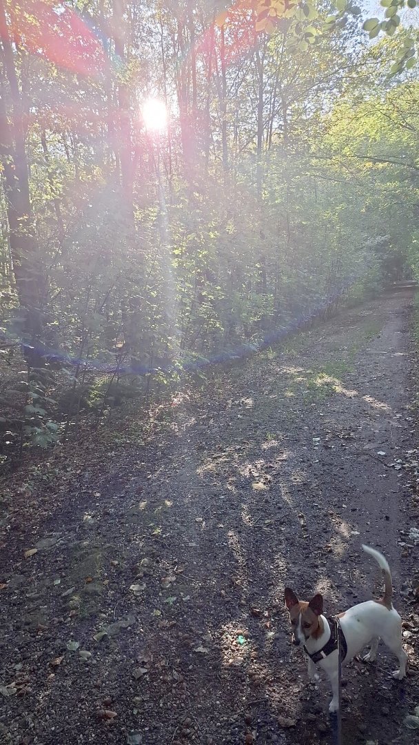 So schön ist der Herbst in Ostfriesland - Bild 22