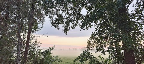 So schön ist der Herbst in Ostfriesland - Bild 24