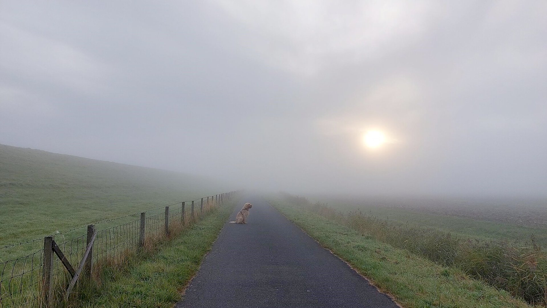 So schön ist der Herbst in Ostfriesland - Bild 36