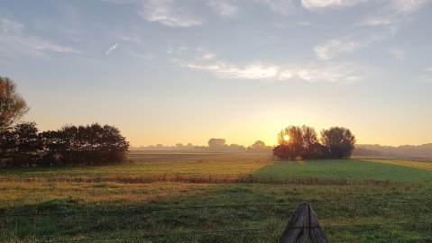 So schön ist der Herbst in Ostfriesland - Bild 38