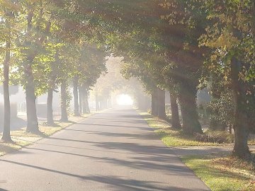 So schön ist der Herbst in Ostfriesland - Bild 45