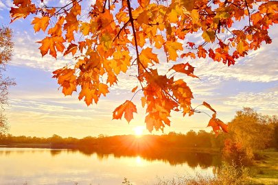 So schön ist der Herbst in Ostfriesland - Bild 54