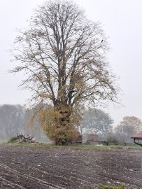 So schön ist der Herbst in Ostfriesland - Bild 72