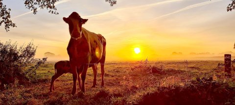 So schön ist der Herbst in Ostfriesland - Bild 89