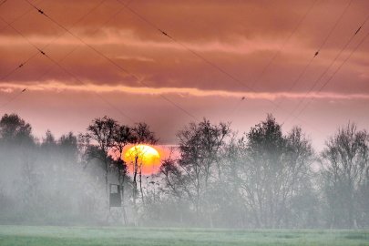 So schön ist der Herbst in Ostfriesland - Bild 90