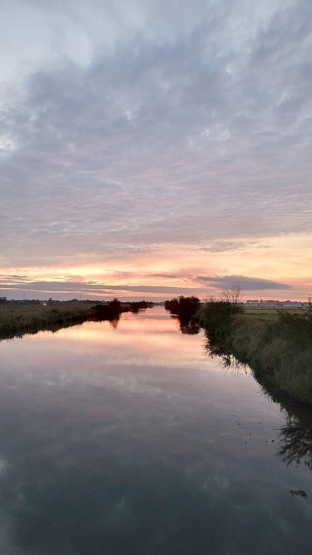 So schön ist der Herbst in Ostfriesland - Bild 104