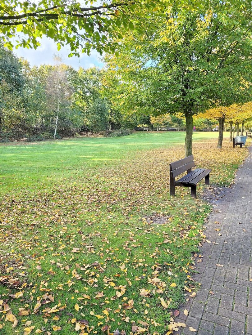 So schön ist der Herbst in Ostfriesland - Bild 122