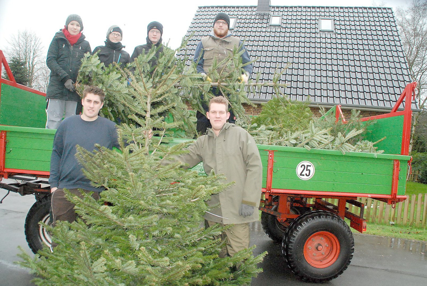 Tannenbäume im Nordkreis Cloppenburg abgeholt - Bild 1