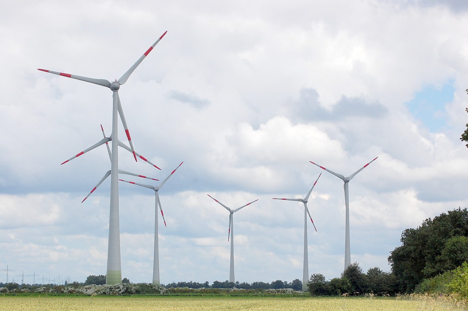 Gegen Windpark in Klostermoor - Bild 1