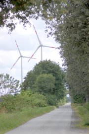 Gegen Windpark in Klostermoor - Bild 2