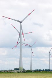 Gegen Windpark in Klostermoor - Bild 3