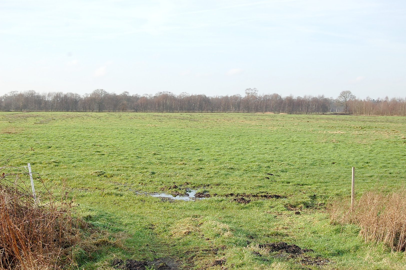 Verknappung von Flächen befürchtet - Bild 1