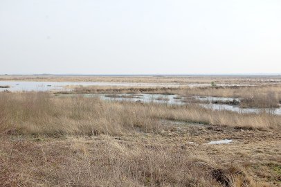 Verknappung von Flächen befürchtet - Bild 2