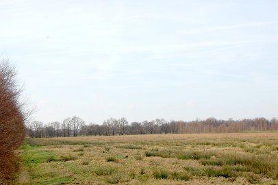 Verknappung von Flächen befürchtet - Bild 3