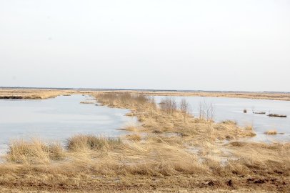 Verknappung von Flächen befürchtet - Bild 4