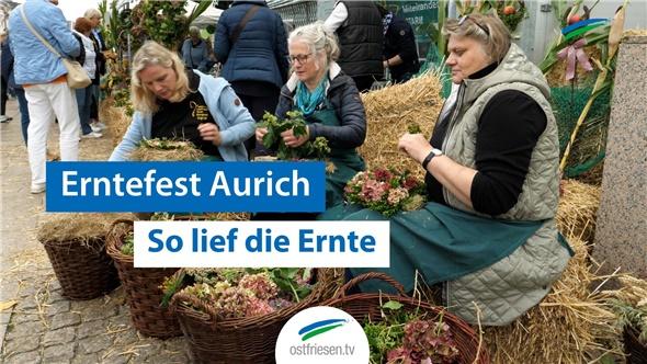 Erntefest in Aurich | So lief die Ernte 2024