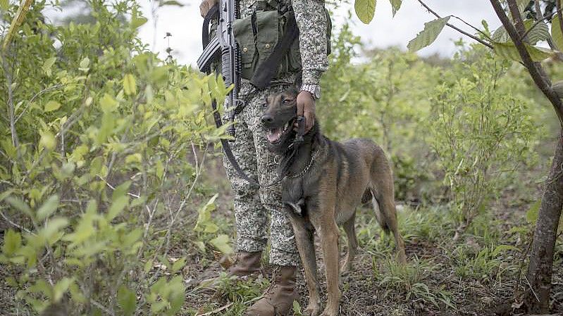 Ein Soldat der kolumbianischen Armee. Symbolbild. Foto: Ivan Valencia/AP/dpa