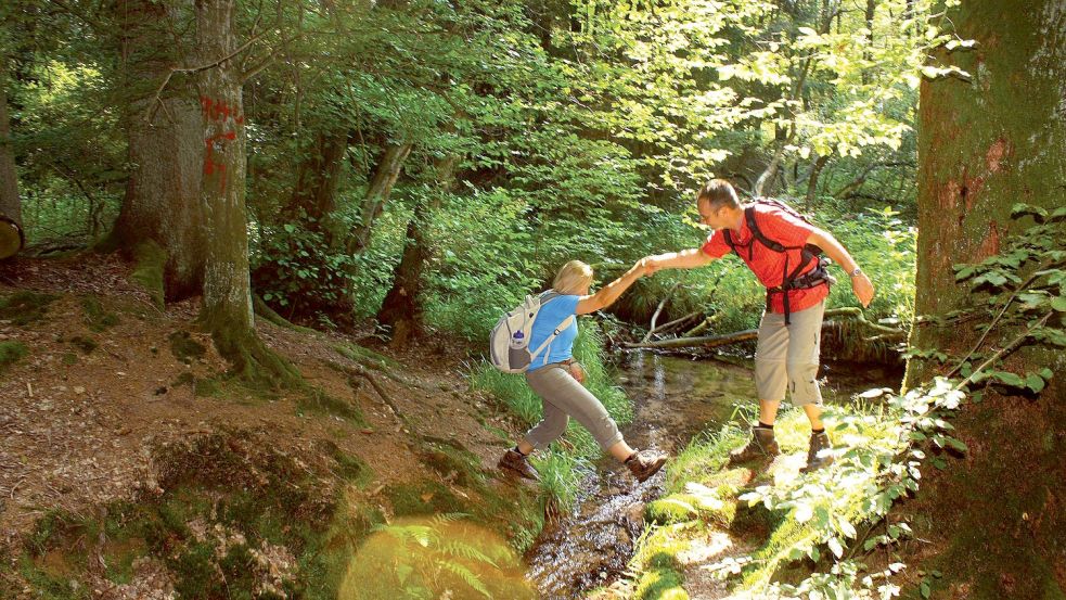 Wandern in Deutschland boomt. Der Weserberg-Wanderweg (siehe Foto) ist für Wanderer sehr beliebt. Foto: dpa/Solling-Vogler-Region