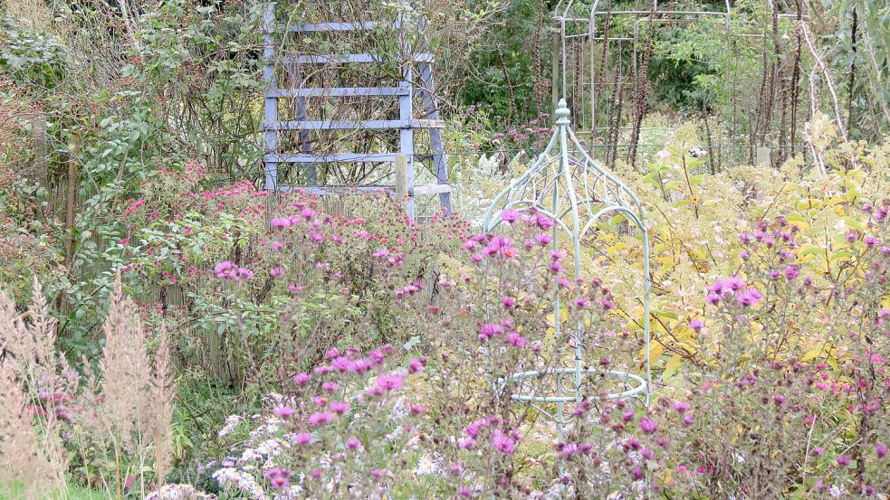 In ihrem Garten hat Karin Berends-Lüürßen eine bunte Farbenpracht. Fotos: Berends-Lüürßen