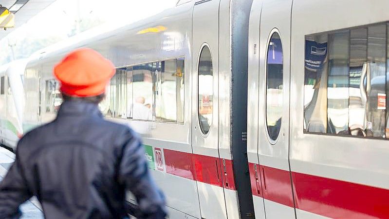 Die Linke ist gegen eine Bahn-Zerschlagung - und plädiert für eine Orientierung am Gemeinwohl. Foto: Michael Matthey/dpa