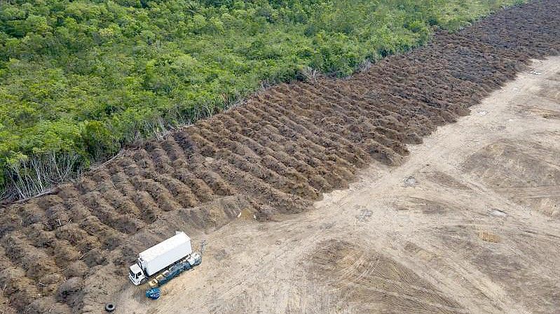 Ein abgeholztes Gebiet des Amazonas. Foto: Fernando Souza/ZUMA/dpa