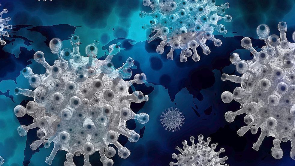 Ein Schulkind der Erich-Kästner-Schule in Rhauderfehn hat sich mit dem Corona-Virus infiziert. Foto: Pixabay