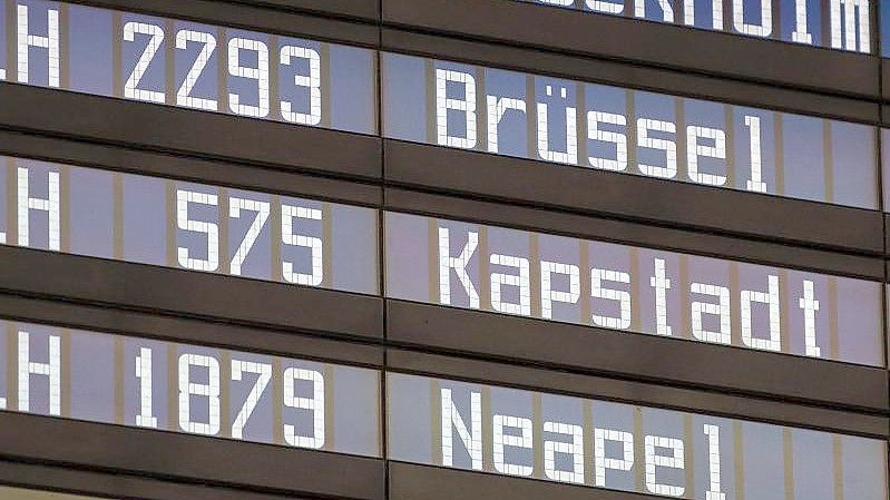 Die neue Verbraucherschutzministerin Steffi Lemke (Grüne) muss sich auf einen harten Konflikt mit der Luftverkehrswirtschaft einrichten. Foto: Sven Hoppe/dpa