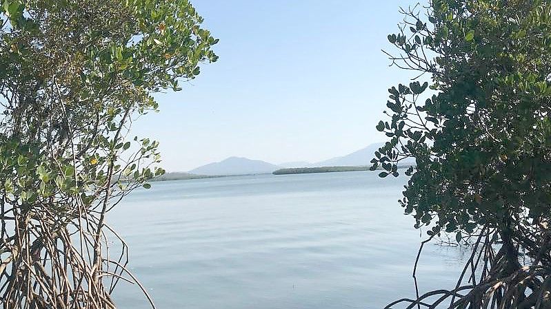 Blick von der Insel Worthington Island aufs Wasser. Foto: Privat/Craig Beckey/dpa