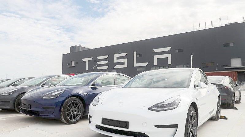 Fahrzeuge des „Models 3“ stehen vor der Tesla-Fabrik in Shanghai. Foto: Ding Ting/XinHua/dpa