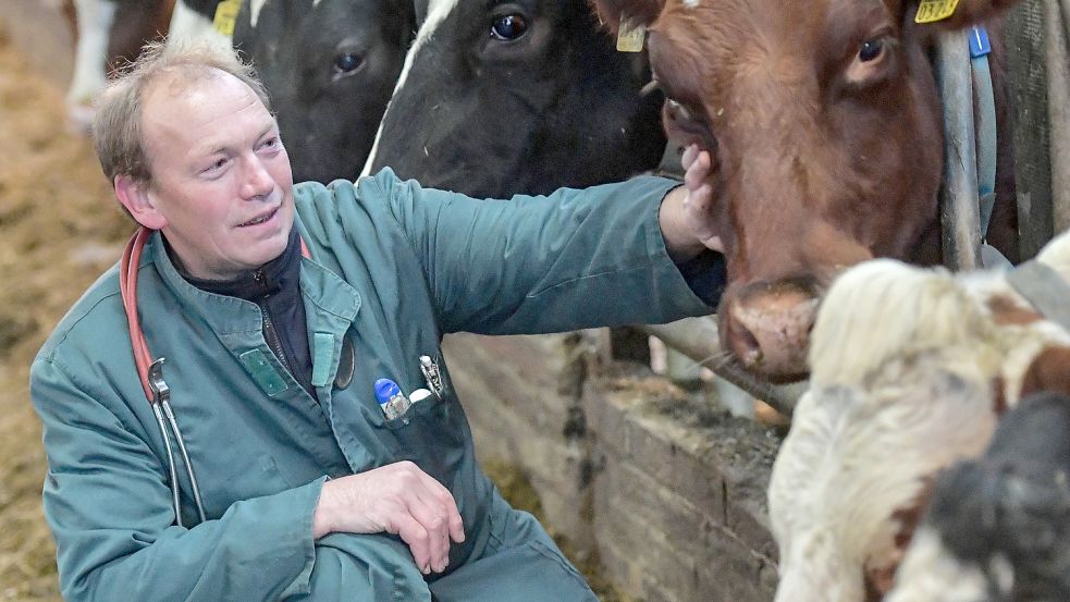 Dr. Jakob Beening betreibt seit 30 Jahren mit vier Teilhabern eine Tierärztliche Gemeinschaftspraxis. Er kümmert sich unter anderem um Kühe. Foto: Ortgies