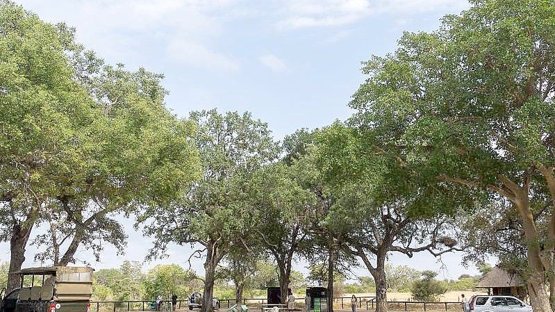 Nach einem gescheiterten Entführungsversuch am Rande des Krüger-Nationalparks hat der Leiter der Parkverwaltung eine dringende Warnung an Besucher gerichtet. Foto: Philipp Laage/dpa