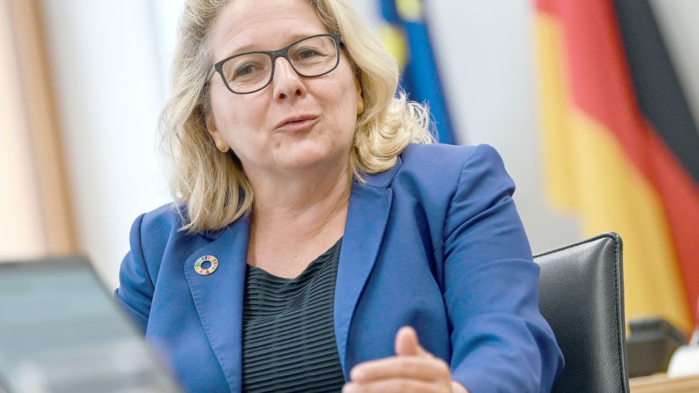 Svenja Schulze, Ministerin für wirtschaftliche Zusammenarbeit und Entwicklung Foto: dpa-Zentralbild