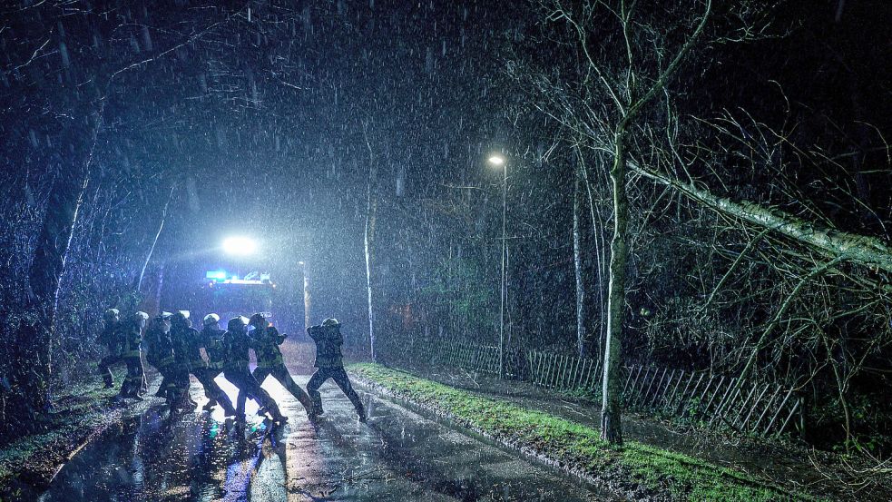 Einsatzkräfte der Freiwilligen Feuerwehr Kiel-Russee, ziehen im strömenden Regen einen von Windböen umgeknickten Baum mit einem Seil auf den Boden. Foto: dpa