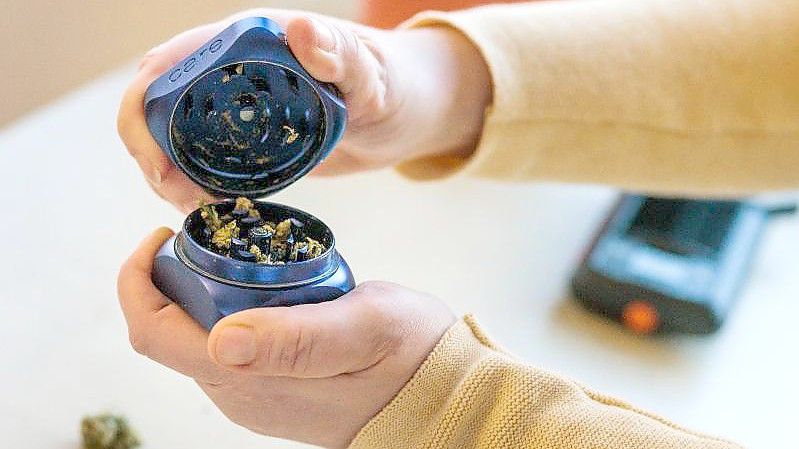 Eine Frau öffnet einen Grinder, in dem medizinisches Cannabis zerkleinert wurde. Die Ampel-Regierung will eine kontrollierte Abgabe von Cannabis an Erwachsene auch zu Genusszwecken erlauben. Foto: Philipp von Ditfurth/dpa