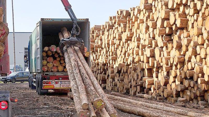 Die Preise für Holz sind im vergangenen Jahr deutlich gestiegen - besonders für Fichten. Foto: Thomas Frey/dpa