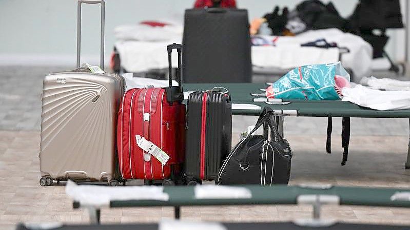 Notbetten stehen in einer Frankfurter Sporthalle für ukrainische Kriegsflüchtlinge bereit. Foto: Arne Dedert/dpa