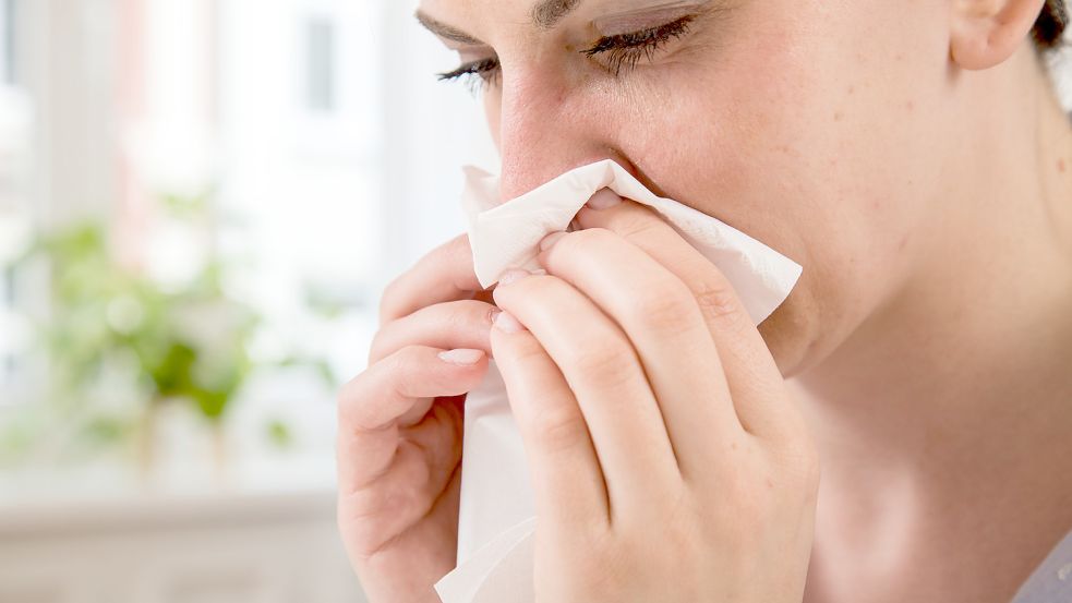 Umherfliegende Pollen bescheren Allergikern typische Heuschnupfensymptome wie laufende Nasen und juckende Augen. Foto: dpa/Christin Klose