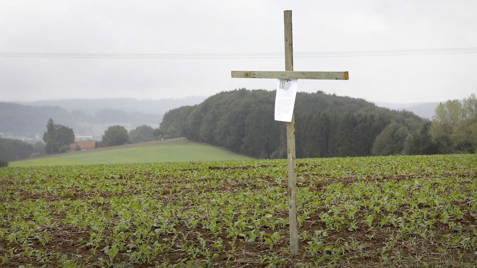 Grüne Kreuze auf dem Acker waren 2019 ein Protest gegen Belastungen der Landwirtschaft. Die Kreuze könnten bald zu einer hölzernen Vier umgewandelt werden - aus Protest gegen die Stilllegung von vier Prozent der Ackerfläche. Foto: Gert Westdörp