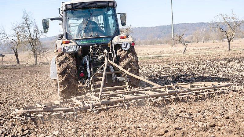 Ein bayerischer Landwirt zerkleinert mit einer Egge die groben Brocken auf seinem Feld, um es für die Aussaat vorzubereiten. Foto: Nicolas Armer/dpa