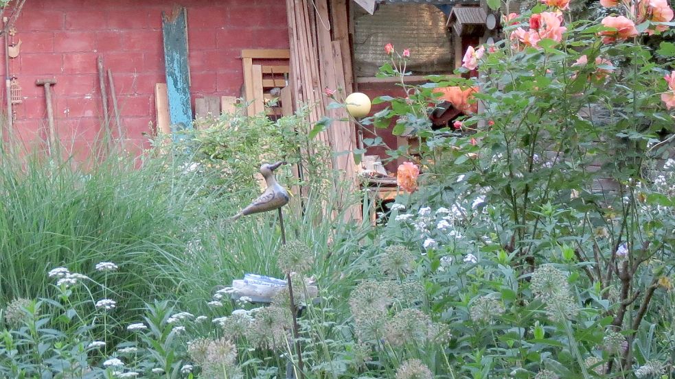 Auch Wildkräuter haben im Garten Platz.